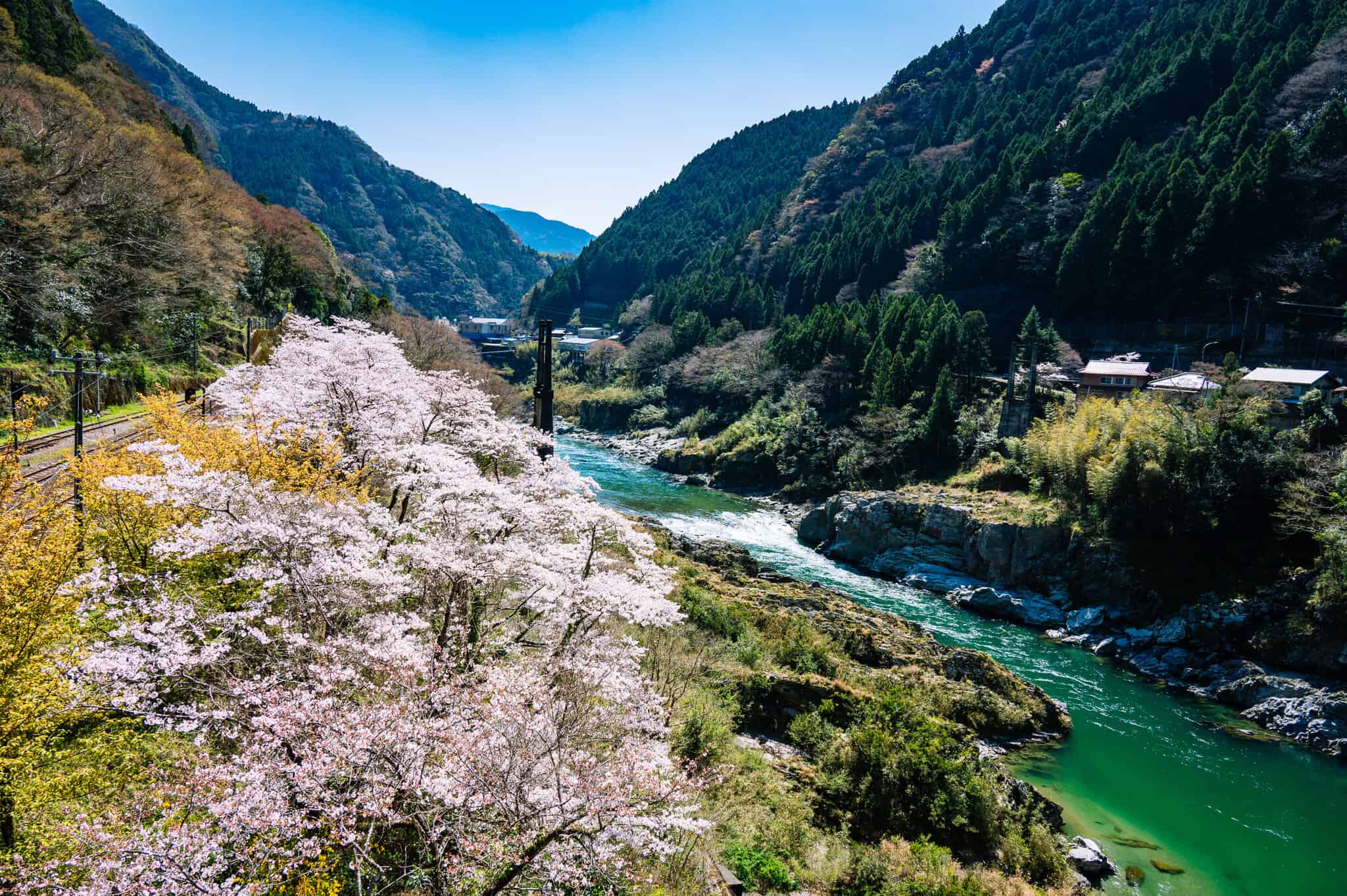 20210323-ATF_3763 Iya Valley with cherry blossoms