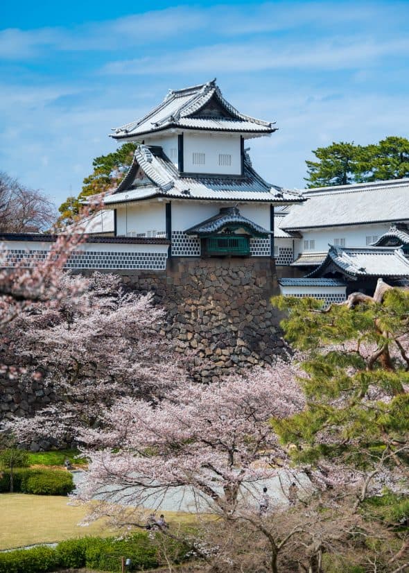 kanazawa castle with cherry blossoms