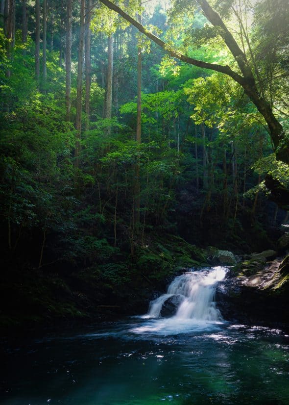 waterfall in forest in hamamatsu japan