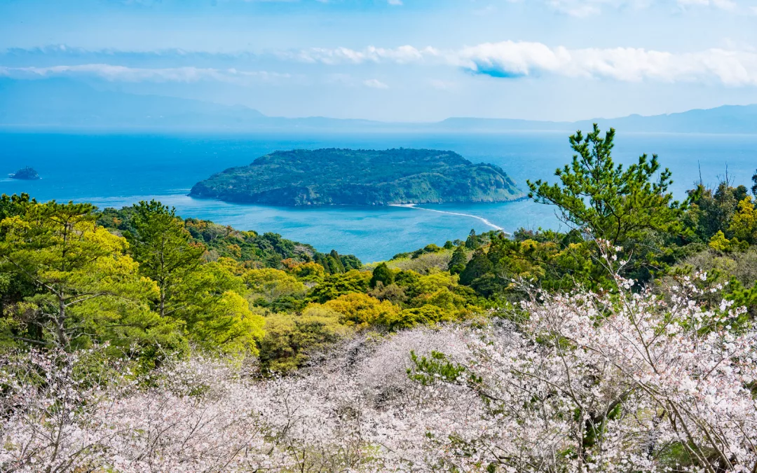 Get Outta Town! 5 Japan Destinations for Cherry Blossoms Better than Kyoto and Tokyo