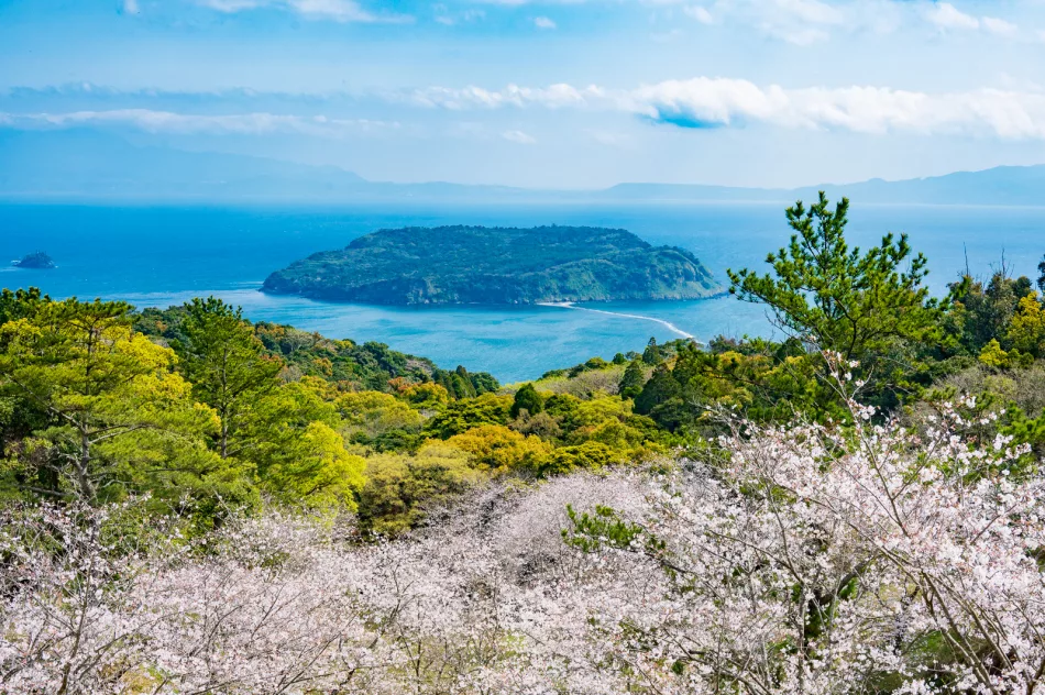 Mt. Uomi with cherry blossoms in Kagoshima Japan