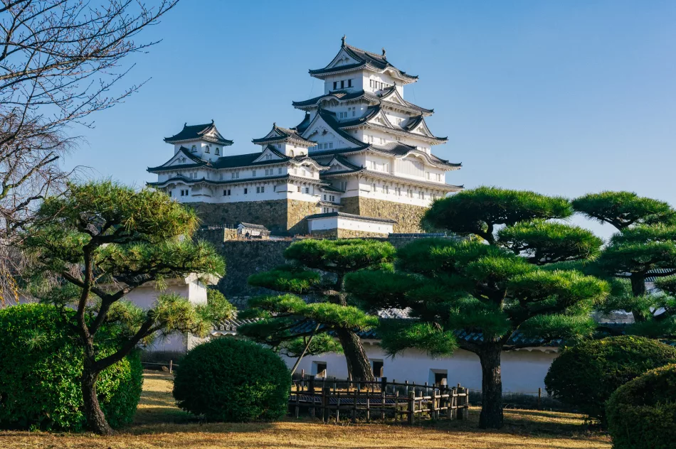 iconic view of himeji castle and pine trees in japan
